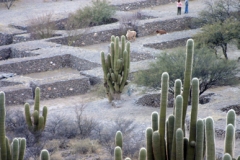 Ruinas de Quilmes (19)