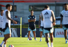 Alivio para Lionel Scaloni: dos jugadores de la Selección argentina preparan el regreso en sus clubes