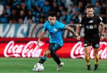 Torneo Apertura: Belgrano le ganó a Aldosivi