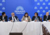 El Senado hará dos nuevas audiencias públicas con más candidatos ligados a la “familia judicial”