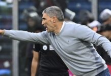 Racing despidió a Vojvoda